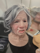 Targi Pozna   2026  18
